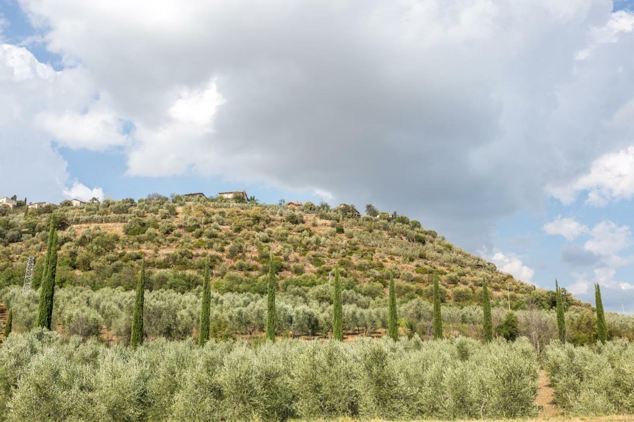 Little Val D'Orcia Apartment Montenero d'Orcia Exterior foto